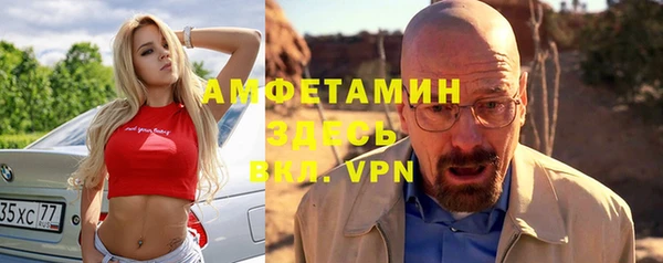 тгк Дмитриев