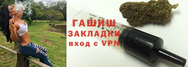 тгк Дмитриев