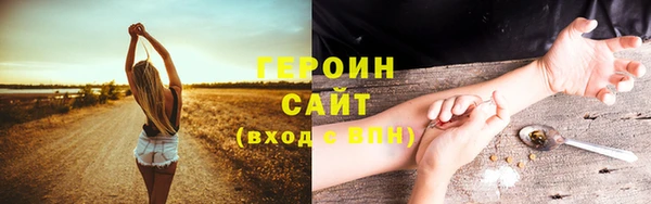 тгк Дмитриев