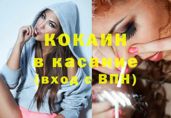 тгк Дмитриев