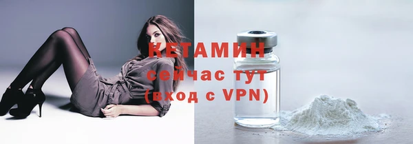 тгк Дмитриев