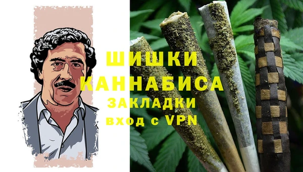 тгк Дмитриев
