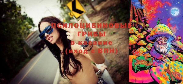 apvp Дмитровск