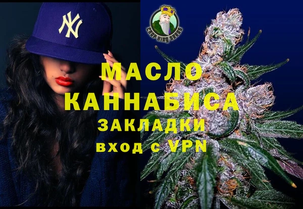 тгк Дмитриев