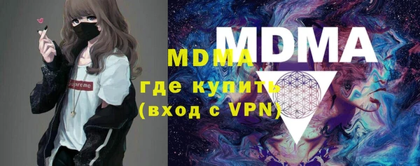 тгк Дмитриев