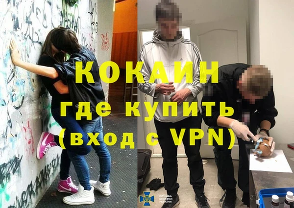 тгк Дмитриев