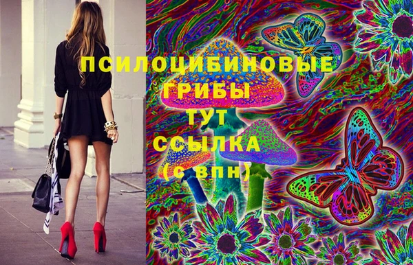 тгк Дмитриев